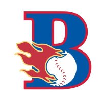 Blaze Baseball (@blazebaseballga) 's Twitter Profile