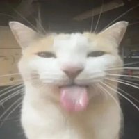random roleplayers who ( check recent posts ) (@make_up_a_rper) 's Twitter Profile