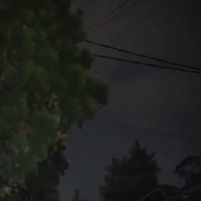 Tippss13's profile picture. 