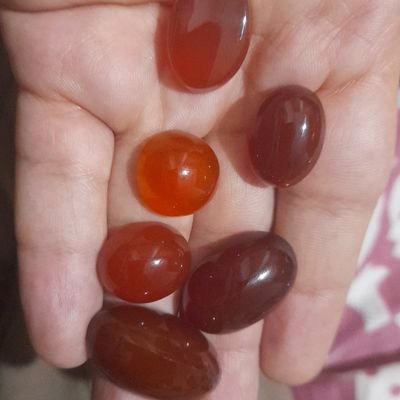 hesam90543451's profile picture. پاکستان دشمن هر مسیحی و هر شیعه هست لعن الله پاکستان وحشی داعشی