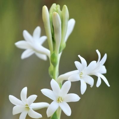 i082327's profile picture. 