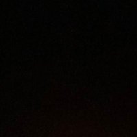 graze panel (@trex1478) 's Twitter Profile