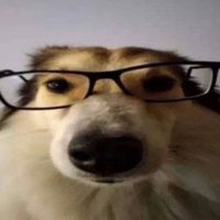 f1thz_alt (@f1thz_alt) 's Twitter Profile Photo f1thz_alt (@f1thz_alt) 's Twitter Profile Photo