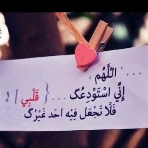 -ابرء من حولي وقوتي ب لاحول ولا قوة الا بالله وأعوذ بالله من نفسي ب ياحي ياقيوم برحمتك أستغيث لاتكلني الى نفسي طرفة عين
- طبيبه في ادارة تعزيز الصحة