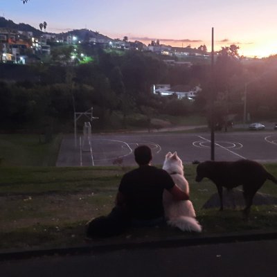 Ingdalopez's profile picture. Ingeniero de Sistemas y Telecomunicaciones
Esp.Gerencia de proyectos
Esp. auditoria de sistemas Informáticos
Economista
Magister en ciencia de datos y matematic