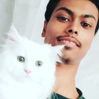 Reajul Hoque (@reajulhq) 's Twitter Profile
