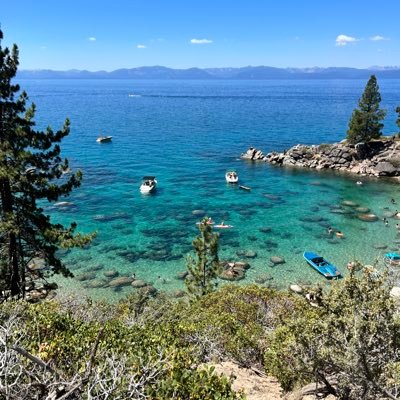 whalesquidshark's profile picture. 