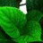 Etha_Lek_Khatir's profile image