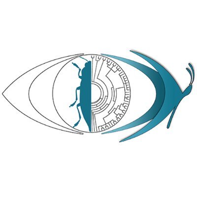 Journal of Insect Biodiversity and Systematics
A publication of the Entomological Society of Iran
WOS Scopus CABI AGRIS EBSCO BIOTAXA ZOOBANK, ...
