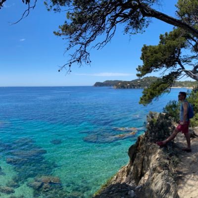 barafrange's profile picture. 