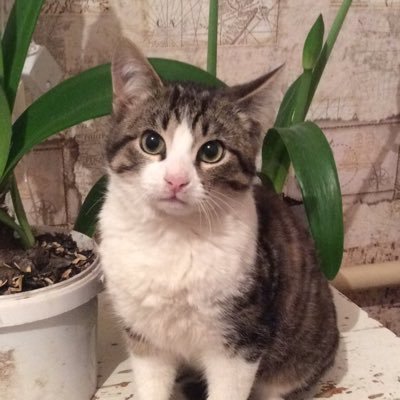 alek67357053's profile picture. 