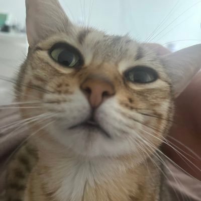 Max181801's profile picture. 