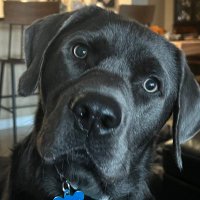 Mike (@bearkatmike) 's Twitter Profile