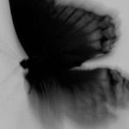 5weaterWeat4er's profile picture. 