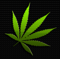 LegalizeitMO's profile picture. We are a non for profit organization, for the legalization of cannabis in Missouri.  Our goal is to educate and inform the public of its benefits.