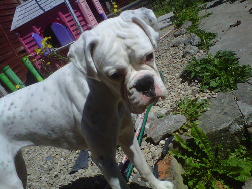 doyle_brad's profile picture. 