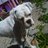 doyle_brad's profile image