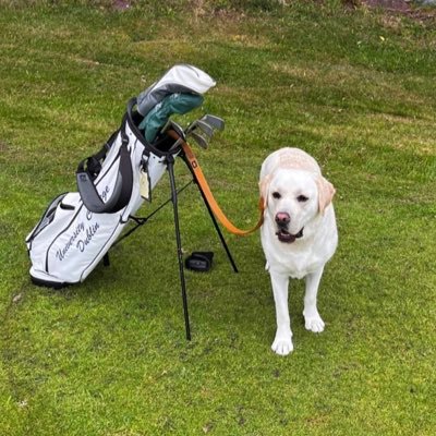 Amagee33's profile picture. 