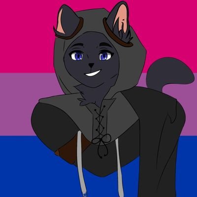 He/Him || 
languages: Dutch and English (currently learning Swedish)