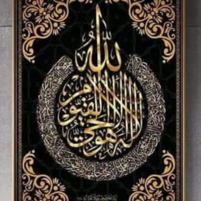 BRAVODIET's profile picture. Always upright