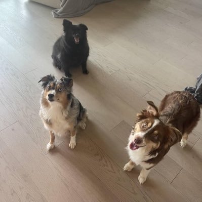 Ray2090's profile picture. 