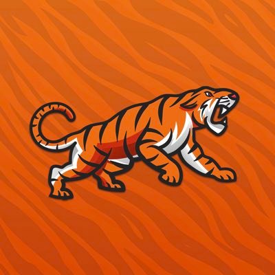 ClemsonVictory Profile Picture