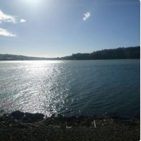 Awni (@aharb2022) Twitter profile photo