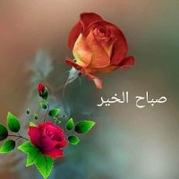 عبد الرحمن علي (@bdlrmnl16111317) Twitter profile photo