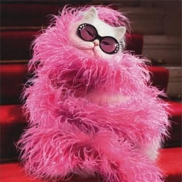 14sarvia's profile picture. And no, don't change the subject
'Cause you're my favorite subject
My sweet, submissive subject