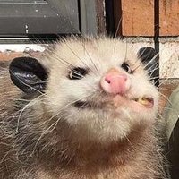 Generic (@generic_men) 's Twitter Profile