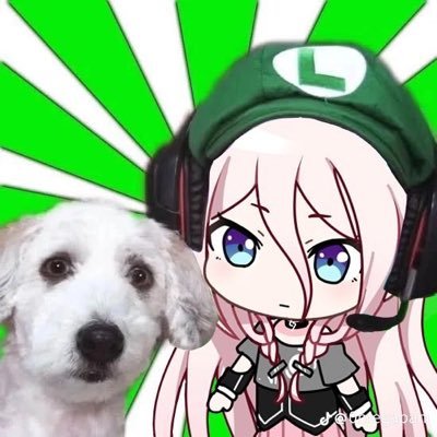 shizu-pさんのプロフィール画像