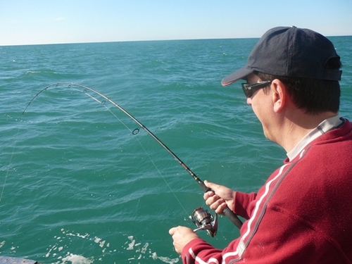 RobertoHornos's profile picture. Vive y deja vivir.