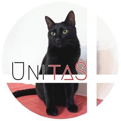 黒猫♀の『うに』
サバ白ハチワレ♀の『すみれ』
仔猫♂の『むぅ太』を迎えて更に賑やかになったわが家です🐾 無断転載🚫