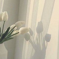 トマ (@gxqopwwvqd29564) 's Twitter Profile