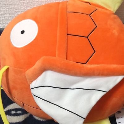 ちまちまオンクレやってます
多分?低課金おじさんです
ぬいぐるみをこれ以上増やすな
子供達とポケカをやる毎日です
よろしくお願いします
