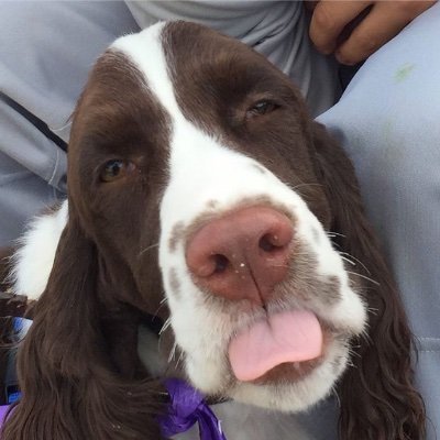 RaiPlay251224's profile picture. 