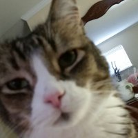 Cecilia Jones (@cecilia65007833) 's Twitter Profile Photo Cecilia Jones (@cecilia65007833) 's Twitter Profile Photo