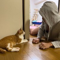 ่ธ็ท(Muneo) (@funnycat_ruka) 's Twitter Profile Photo ่ธ็ท(Muneo) (@funnycat_ruka) 's Twitter Profile Photo