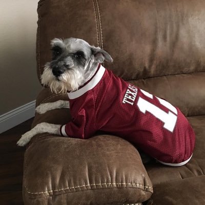 no1aggiefan's profile picture. 1 John 3:18 :) | @TAMUEngineering ’29