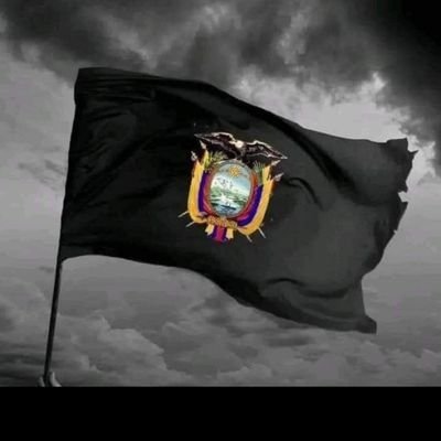 feer2try's profile picture. 