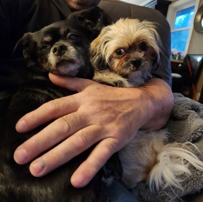 Jamieson5454's profile picture. America 🇺🇸 first always. DM🚫 
Trump 2024 🇺🇸🇺🇸🇺🇸   IFBAP