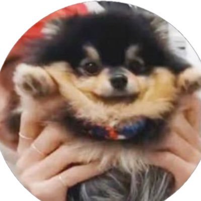 てっててさんのプロフィール画像