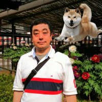 いっちょ髪 日本を元気に!#100フォロバ/エロ垢×🙏 (@lovedogcat) 's Twitter Profile