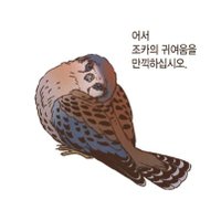 안락한비계 (@lang__chae) 's Twitter Profile