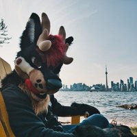 Derr (@derrthedeerfox) Twitter profile photo
