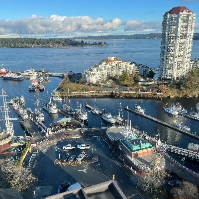 stevenwishart's profile picture. Enterprise Architect specialing in Mission Critical Systems and High Availibility.