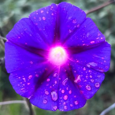 MattWalker427's profile picture. Christian, Amateur Photographer, American.