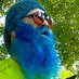 BlueBeard the Bard ✍ (@BlueBeardBard) Twitter profile photo