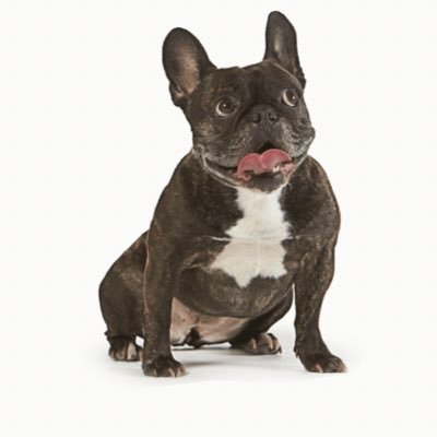 ryo08060701's profile picture. しがない公務員、ウイスキー、サウナが好きです。