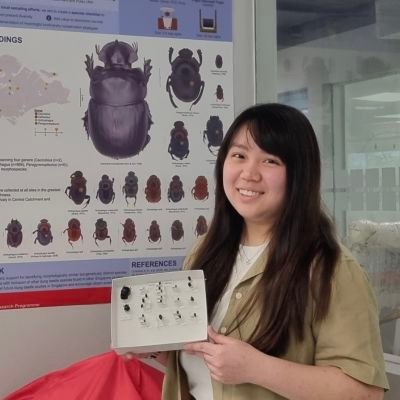@ntu_ase ecology undergrad, soon-to-be PhD student | Interested in ecosystems, entomology and taxonomy 🐞🪲🦋 (dung beetles are my favourite)